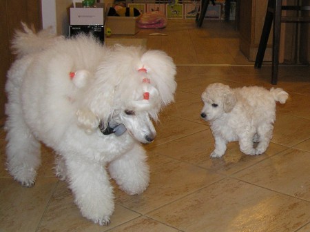 ... a ještě jednou s mámou DORLY.